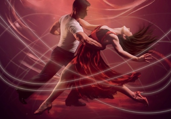 in gesprek met Peter van der Veek